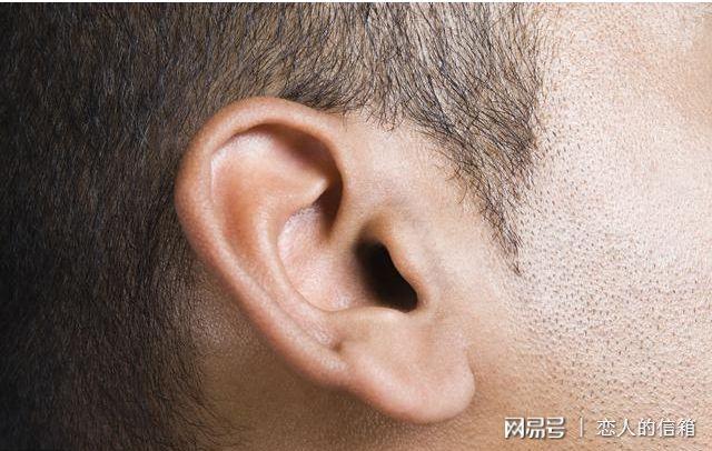 耳朵小的人命运咋样最好的耳朵面相是什么