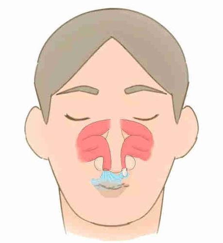 为什么感冒时,一个鼻孔通气?