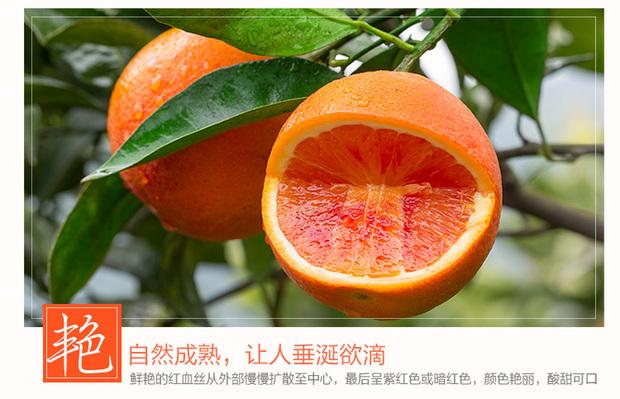 现摘塔罗科血橙4斤 四川资中特产时令新鲜水果橙子孕妇脐橙包邮